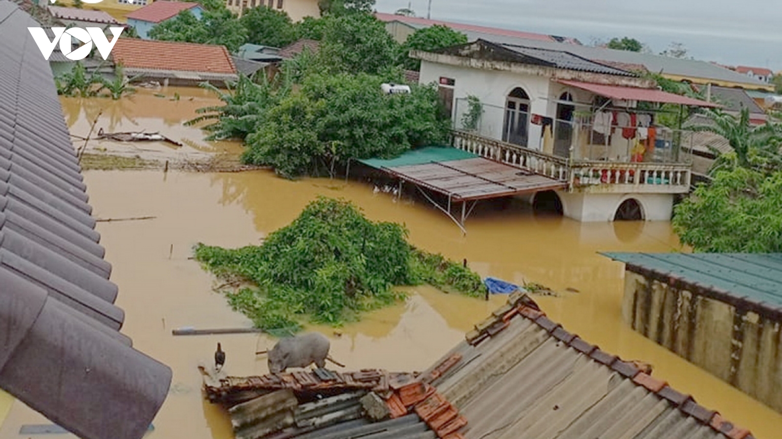 Severe flooding wreaks havoc in central Vietnam